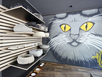 Tierische Influencer: Nischen nutzen